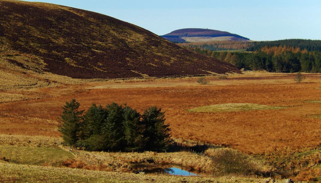 Scotland Paradise Relax Accommodation By Shooting Club Kirriemuir Balintore  Exterior photo