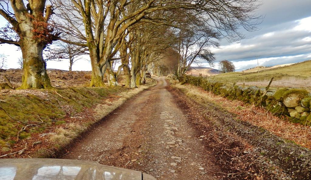 Scotland Paradise Relax Accommodation By Shooting Club Kirriemuir Balintore  Exterior photo