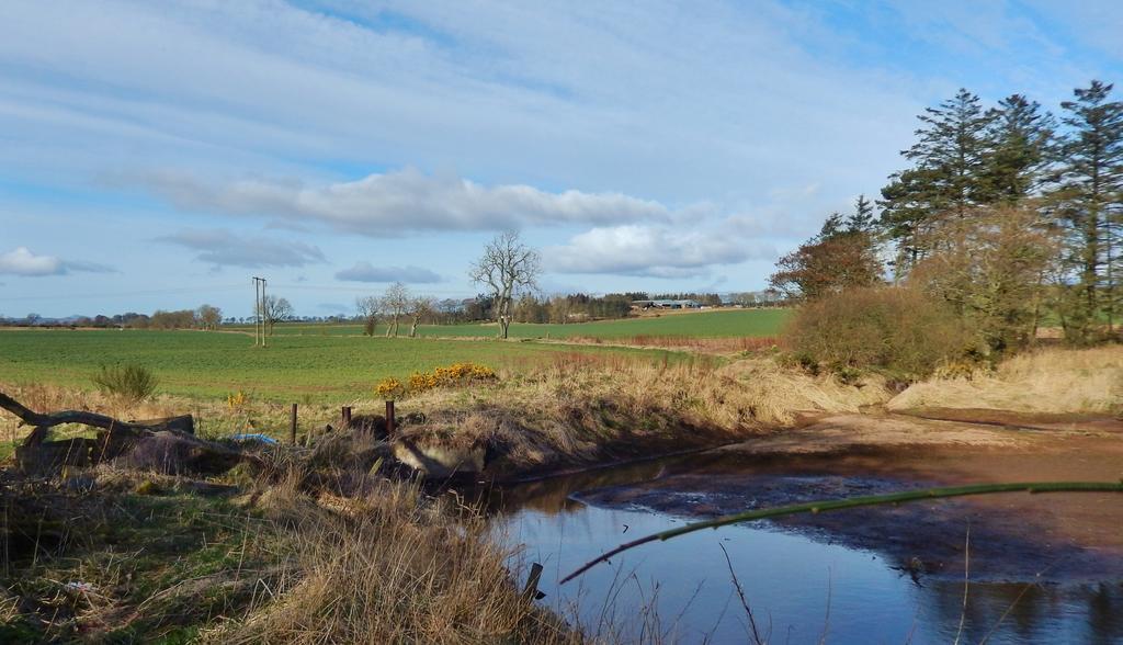 Scotland Paradise Relax Accommodation By Shooting Club Kirriemuir Balintore  Exterior photo