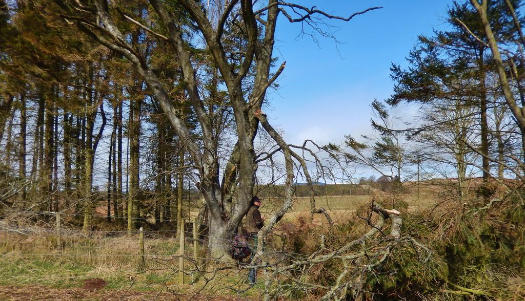 Scotland Paradise Relax Accommodation By Shooting Club Kirriemuir Balintore  Exterior photo